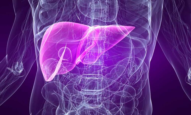 Hepatic biopsy